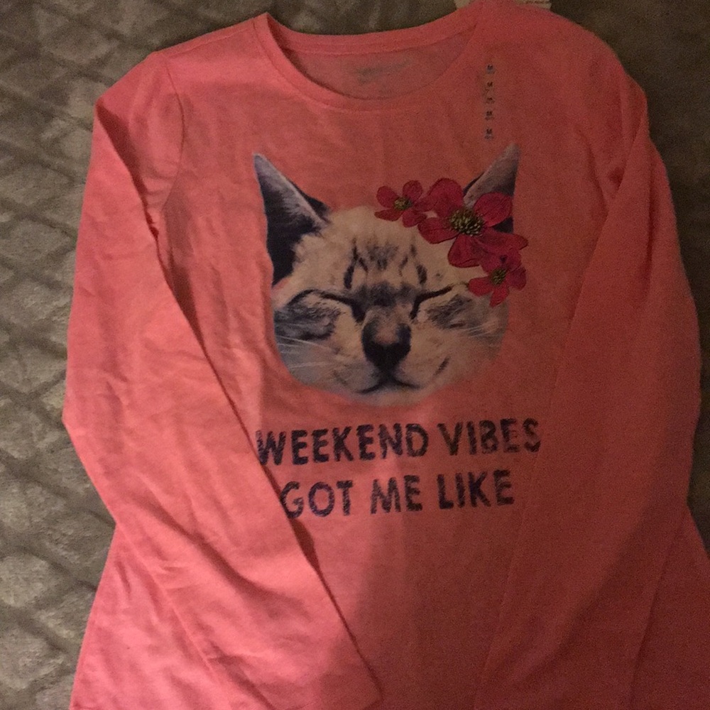 Pink paradise cat